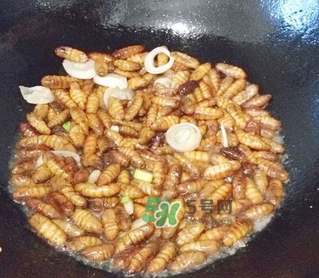 蜂蛹怎么保存？蜂蛹怎么做好吃？