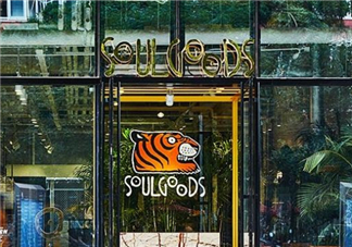 soulgoods是什么牌子？soulgoods貴嗎？
