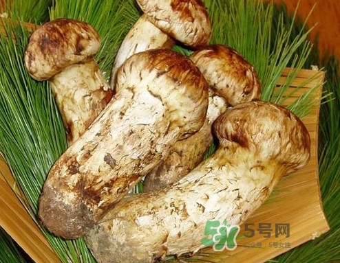 新鮮松茸怎么清洗？新鮮松茸怎么處理