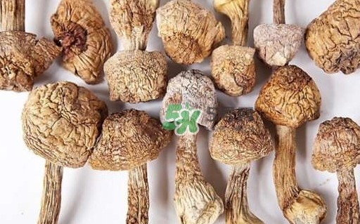 干松茸要泡多久？干松茸用冷水泡還是溫水泡好