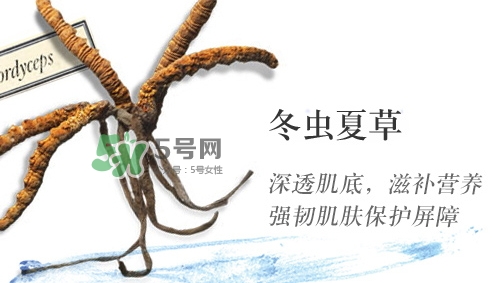 菌菇水是哪個(gè)國(guó)家的？悅木之源菌菇水是日本的嗎