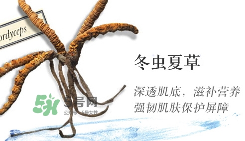 菌菇水濕敷痘更嚴重 菌菇水爆痘