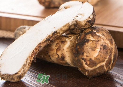 松茸是酸性還是堿性？松茸怎么做好吃