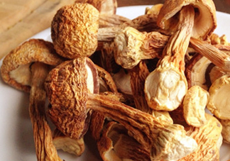 干松茸怎么清洗？干松茸如何辨別真?zhèn)?><p><strong>干松茸怎么清洗？干松茸如何辨別真?zhèn)?/strong></p></a></li> <li><a href=