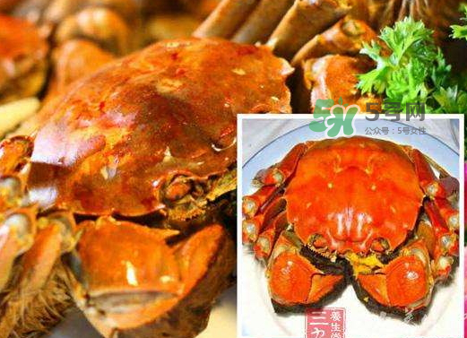 紅印蟹怎么回事？紅印蟹有什么不同？
