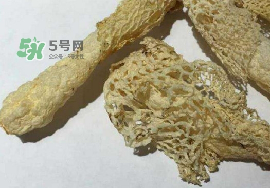 干竹蓀怎么處理？干竹蓀怎么清洗