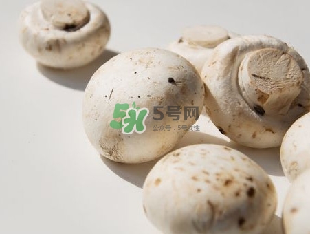 白蘑菇是什么種類(lèi)？白蘑菇怎么洗才洗得干凈