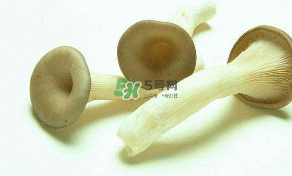 蘑菇不能和茄子一起吃嗎？蘑菇不能和什么一起吃？