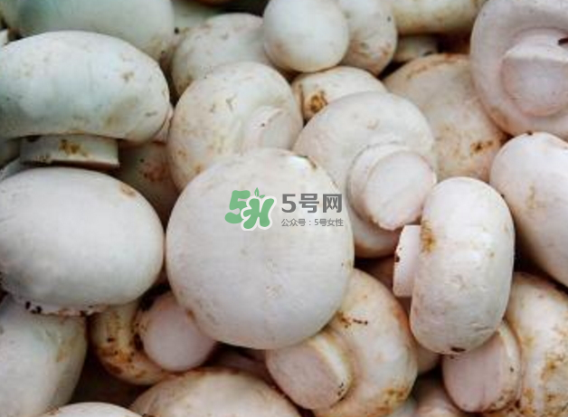 蘑菇變黑了還能吃嗎？蘑菇怎么保存？