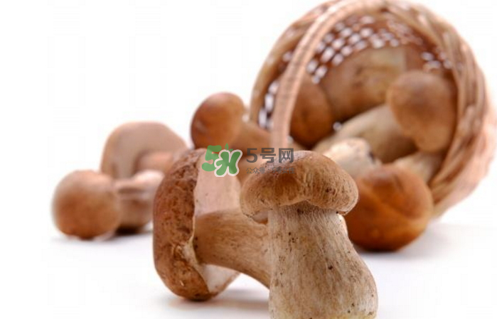 蘑菇能放冰箱嗎？蘑菇能放冰箱多長時間？
