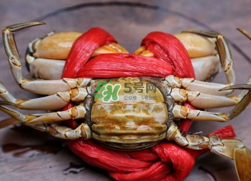 黃油蟹什么季節(jié)吃最好？黃油蟹產(chǎn)地