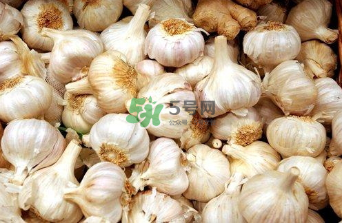 壽光大蒜有毒嗎？壽光毒大蔥事件