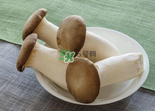 杏鮑菇怎么清洗？杏鮑菇怎么保存