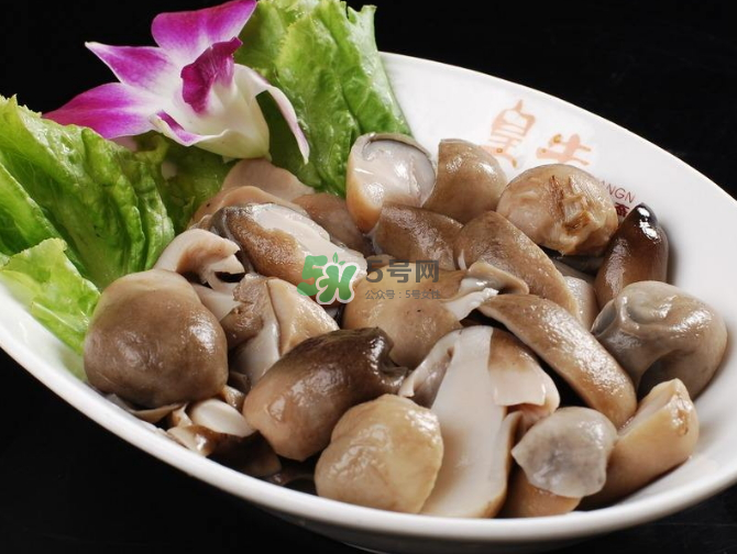 草菇孕婦能吃嗎？草菇要煮多久可以吃？
