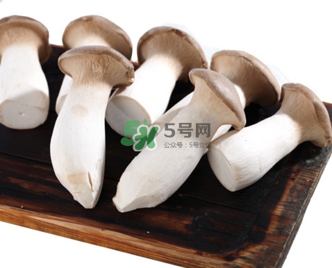 杏鮑菇有苦味還能吃嗎？杏鮑菇有酒味是壞了嗎