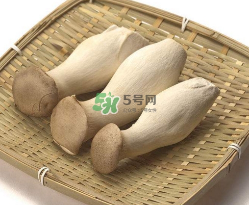 杏鮑菇有什么營(yíng)養(yǎng)價(jià)值？杏鮑菇產(chǎn)地在哪里