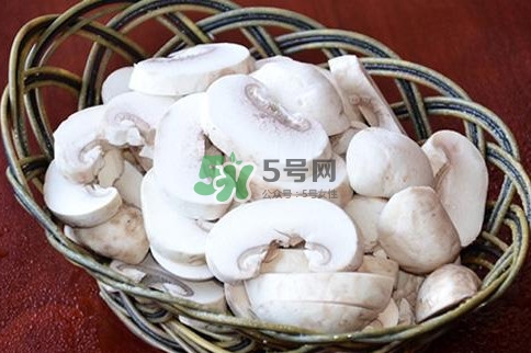 口蘑是發(fā)物嗎？口蘑是白蘑菇嗎
