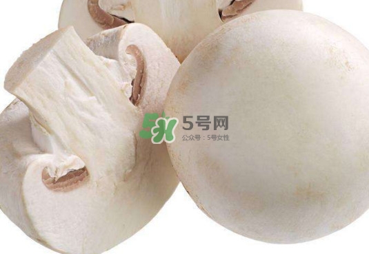 新鮮白蘑菇怎么做好吃？白蘑菇有什么好處