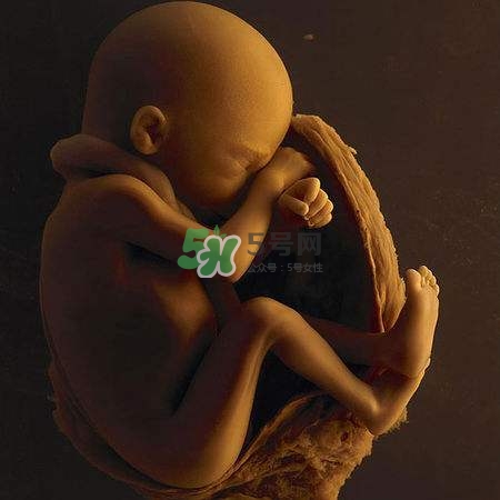 臍帶繞頸是什么意思？臍帶繞頸兩周怎么糾正？