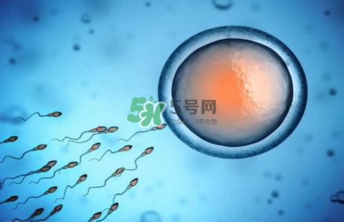 精子在女性體內(nèi)可以存活多久？男性的精子會枯竭嗎？