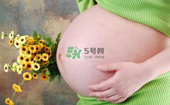 為什么孕婦的肚子有尖有圓？孕婦肚子尖圓對照圖