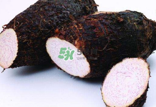 香芋是發(fā)物嗎？香芋怎么吃