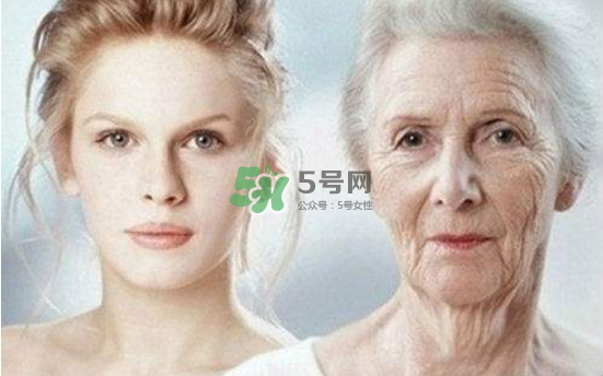 抗氧化是抗衰老嗎？抗氧化是不是就等于抗衰老？