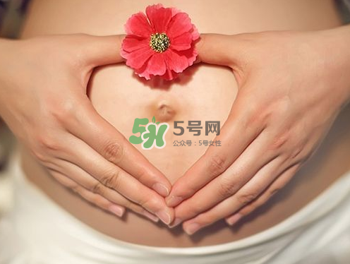 秋天孕婦可以吃絲瓜嗎？秋天孕婦吃絲瓜好嗎？