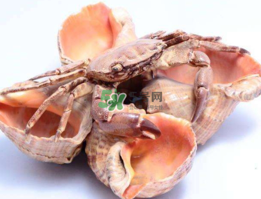 螃蟹殼里的東西是什么？螃蟹殼里什么不能吃？