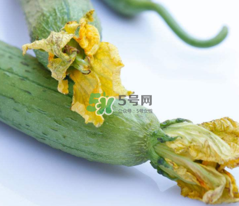 秋天絲瓜有毒嗎？秋天絲瓜能吃嗎？