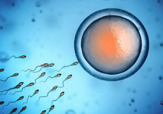 精子在女性體內(nèi)可以存活多久？男性的精子會枯竭嗎？