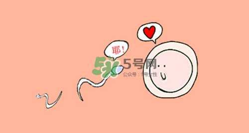 精子在女性體內(nèi)可以存活多久？男性的精子會枯竭嗎？