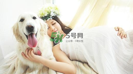 孕婦不能養(yǎng)寵物嗎？為什么孕婦不能養(yǎng)寵物？