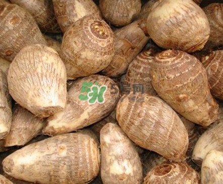 香芋如何種植？香芋的種植方法