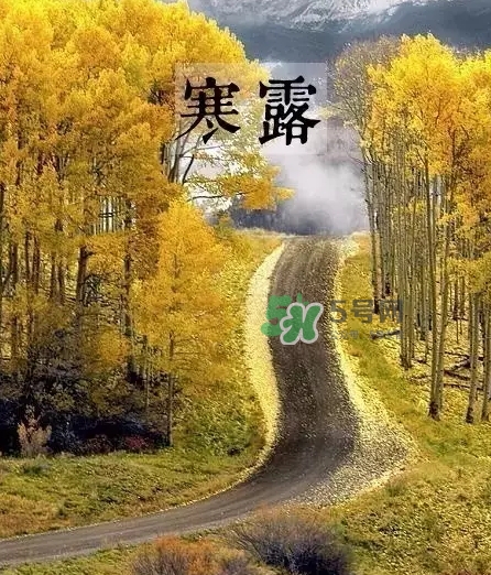白露是寒露嗎？白露和寒露的區(qū)別