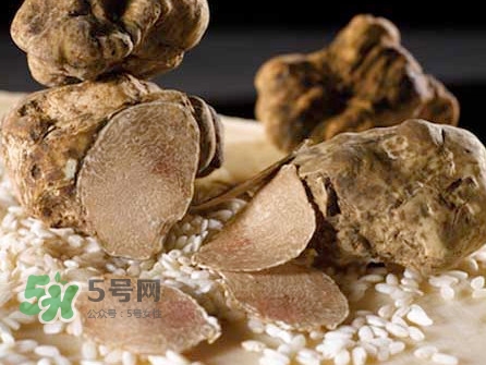 松露為什么那么貴？松露為什么這么貴？