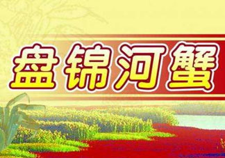 盤錦河蟹批發(fā)市場在哪？盤錦河蟹哪里最正宗？