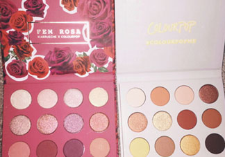 colourpop玫瑰眼影盤(pán)色號(hào)_colourpop she眼影盤(pán)試色圖