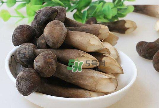 雞樅菌和松茸哪個(gè)更好？雞樅菌有什么營養(yǎng)