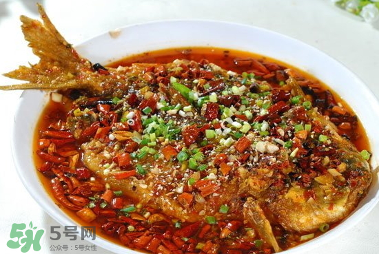 黑魚能愈合傷口嗎？黑魚為什么對傷口愈合？