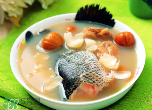 黑魚能愈合傷口嗎？黑魚為什么對傷口愈合？