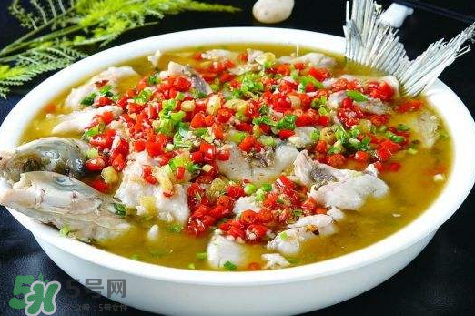 鯉魚可以做水煮魚嗎？水煮鯉魚的做法