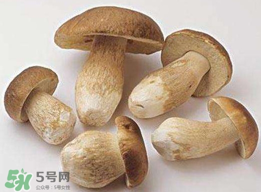 牛肝菌要泡發(fā)多久？牛肝菌怎么清洗