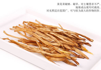 新鮮黃花菜怎么保存？干黃花菜怎么保存