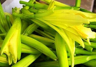 黃花菜開(kāi)花了還能吃嗎？開(kāi)花的黃花菜可以吃嗎