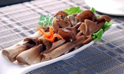 雞樅菌和松茸哪個(gè)更好？雞樅菌有什么營養(yǎng)