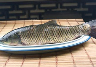 黑魚可以清蒸嗎？黑魚蒸多久？