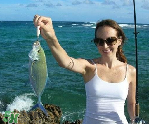 9月份釣什么魚？9月份釣草魚嗎？