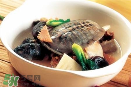產(chǎn)婦能吃甲魚嗎？產(chǎn)婦能吃甲魚湯嗎？