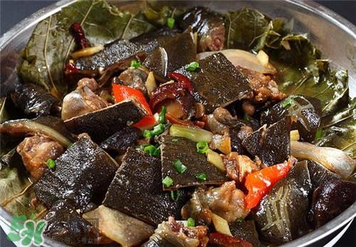 甲魚湯下奶嗎？下奶的食物有哪些？